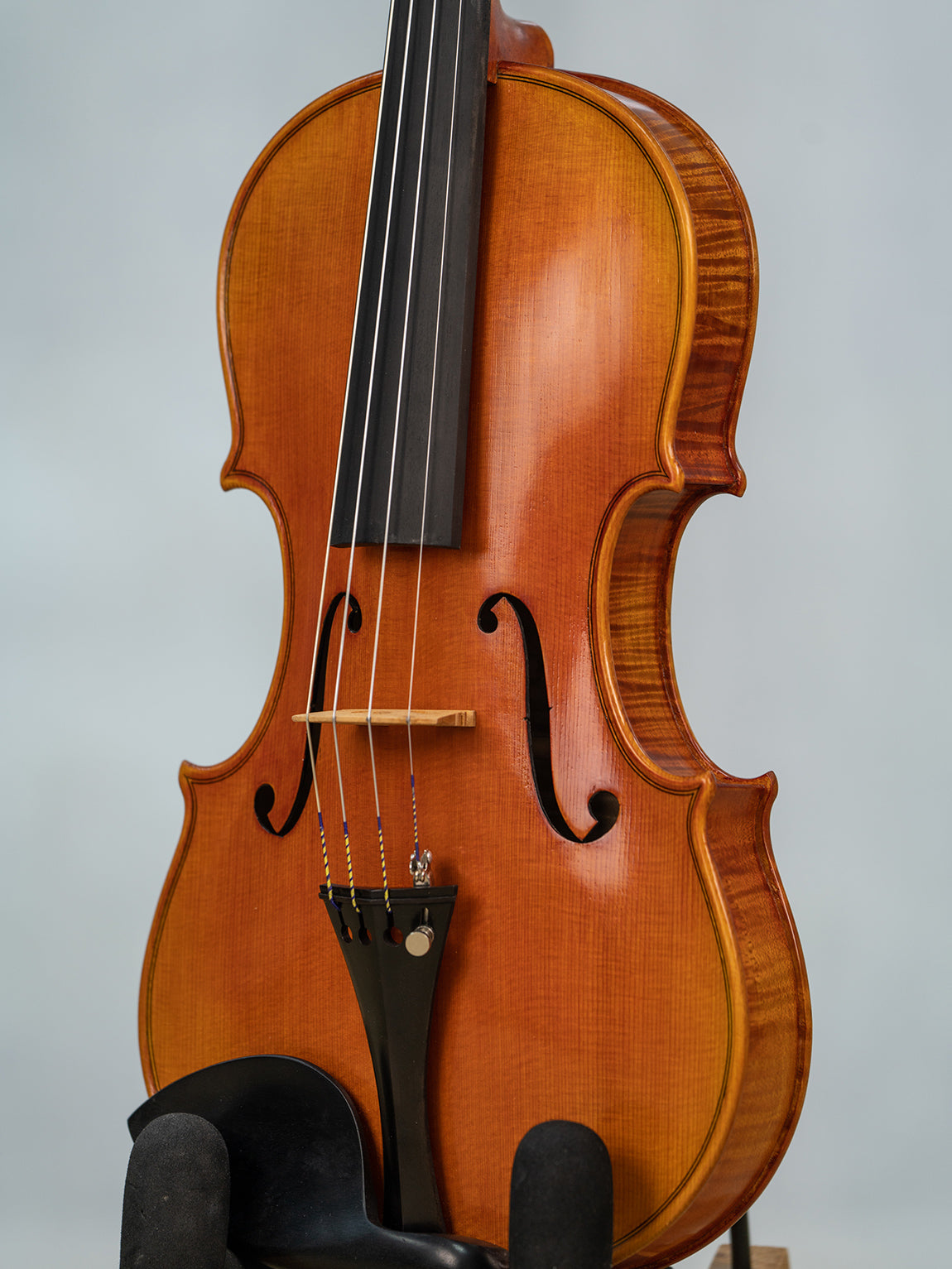 IUEStrings Studio Series Beginner Violins Outfit